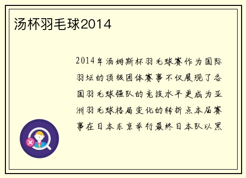 汤杯羽毛球2014