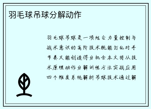 羽毛球吊球分解动作