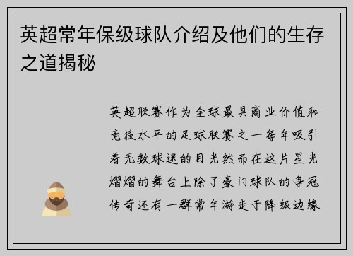 英超常年保级球队介绍及他们的生存之道揭秘