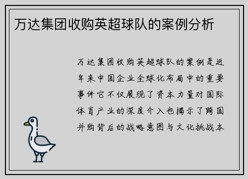 万达集团收购英超球队的案例分析